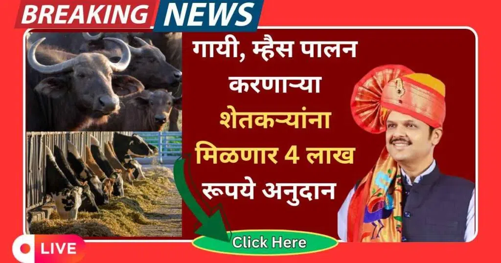 Buffalo And Cowshed Yojana 2025