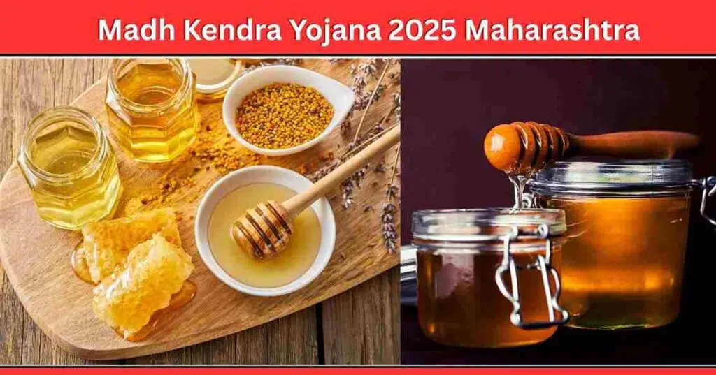 Madh Kendra Yojana 2025 Maharashtra