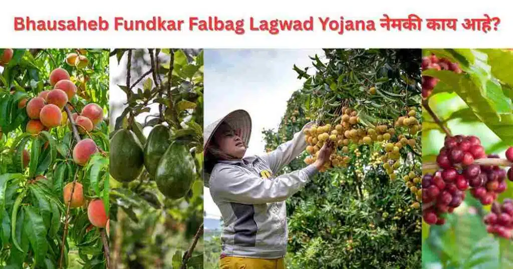Bhausaheb Fundkar Falbag Lagwad Yojana 
