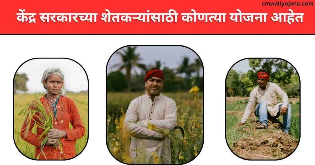 Pradhanmantri Krishi Anudan Yojana In Marathi 