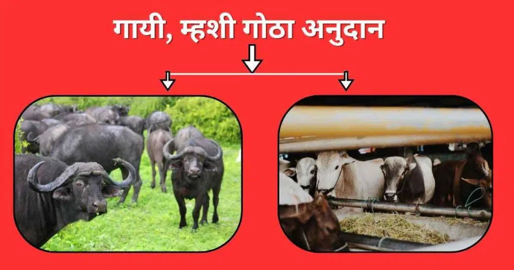 Gai Gotha Yojana 2025 Maharashtra