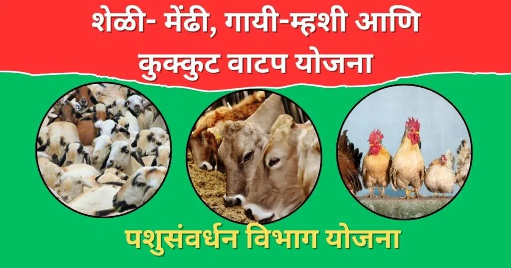 Pashusavardhan Yojana Maharashtra 2025