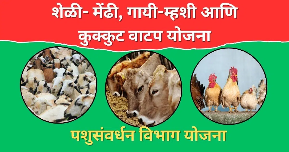 Pashusavardhan Yojana Maharashtra 2025