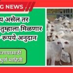 Gay Palan Yojana Maharashtra 2025